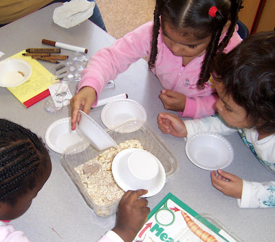 Children are fascinated with beetles and other small animals.